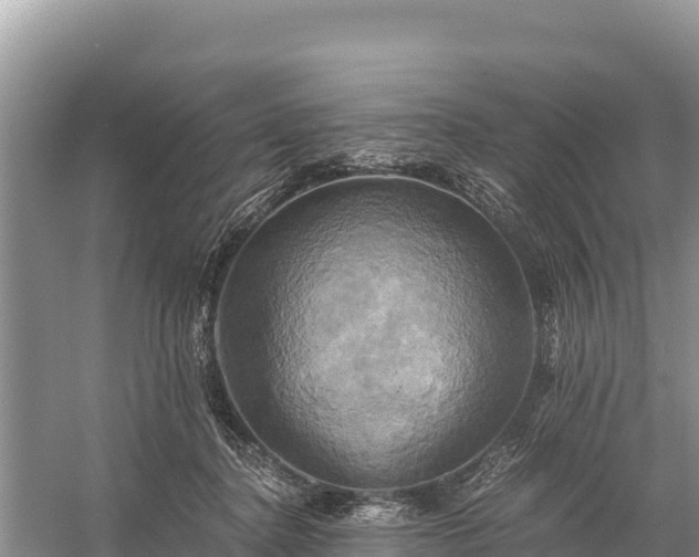 X0000058800364200510071708