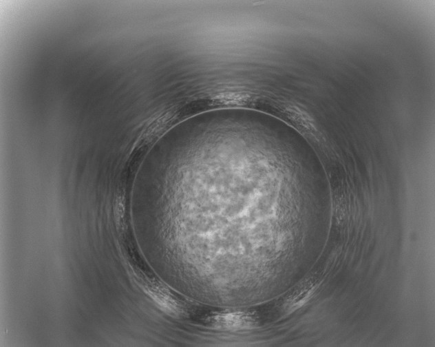 X0000058800365200510071708