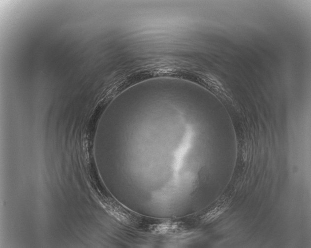 X0000058800366200510071708