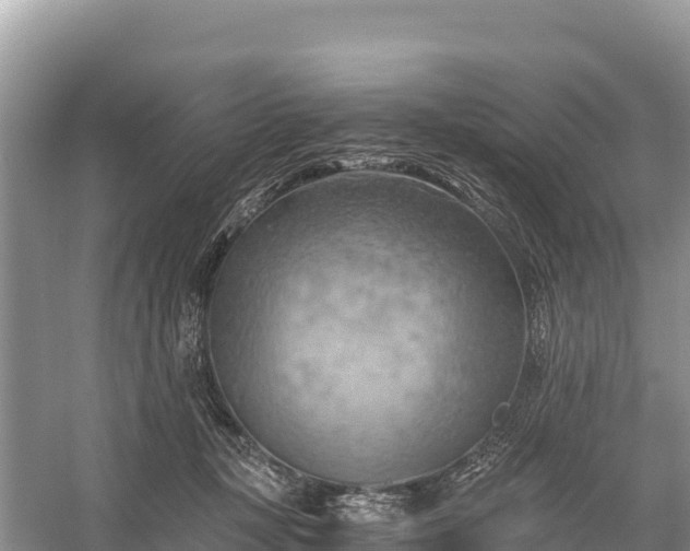 X0000058800367200510071708