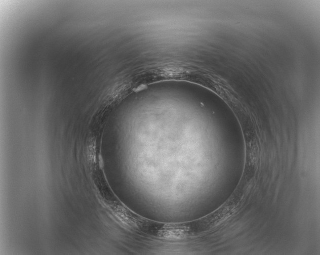 X0000058800368200510071708