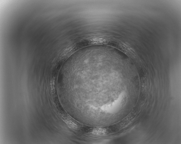 X0000058800369200510071708