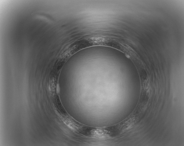 X0000058800372200510071708