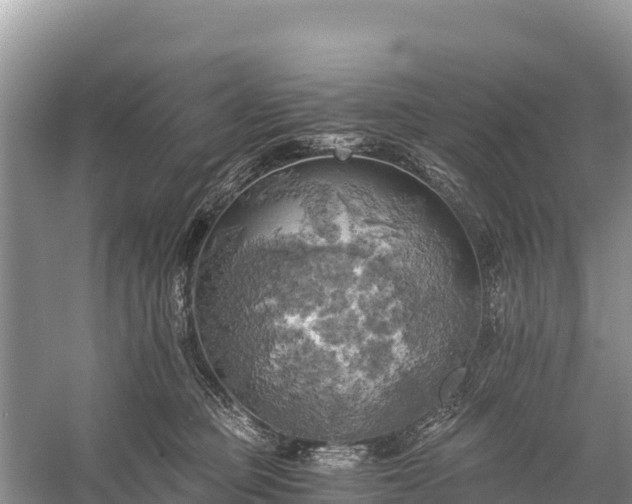 X0000058800373200510071708