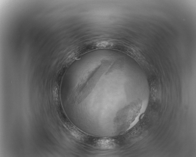 X0000058800375200510071708