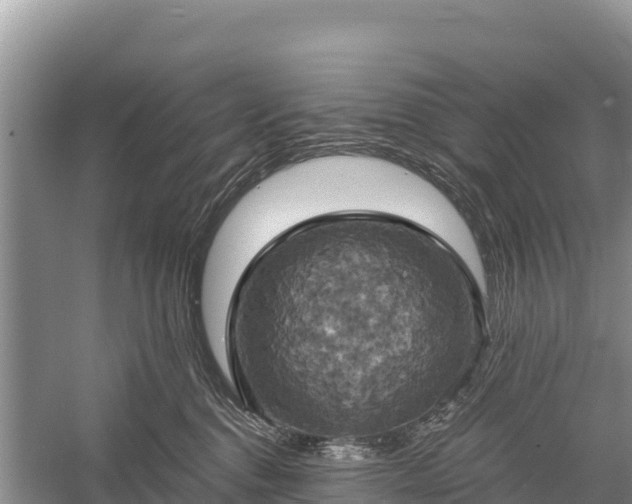 X0000058800376200510071708