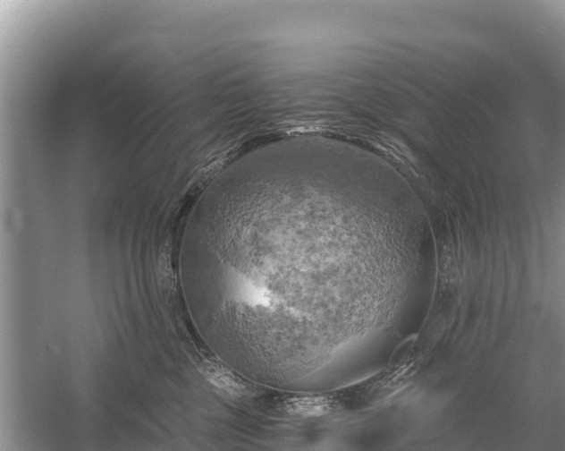 X0000058800377200510071708