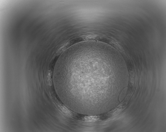 X0000058800378200510071708