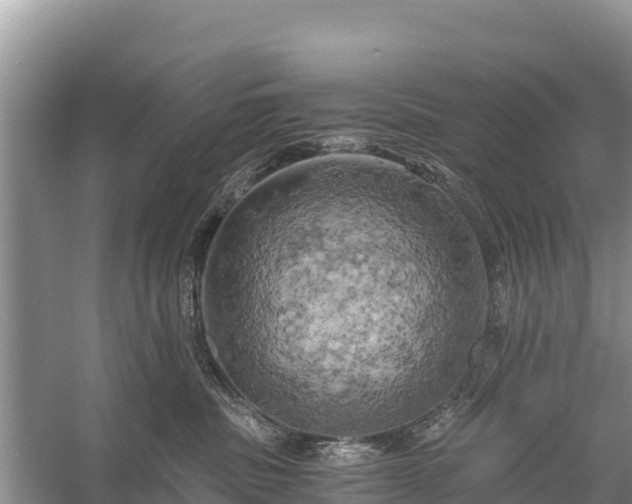 X0000058800379200510071708