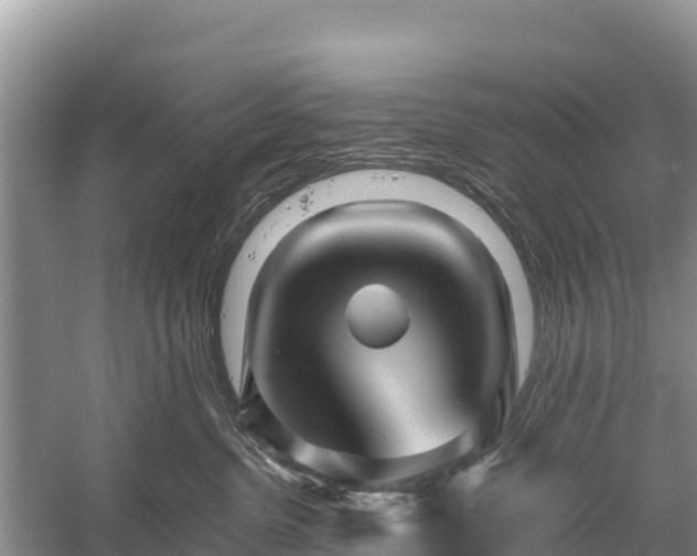 X0000058800380200510071708