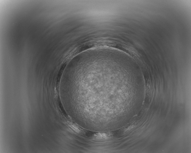 X0000058800381200510071708