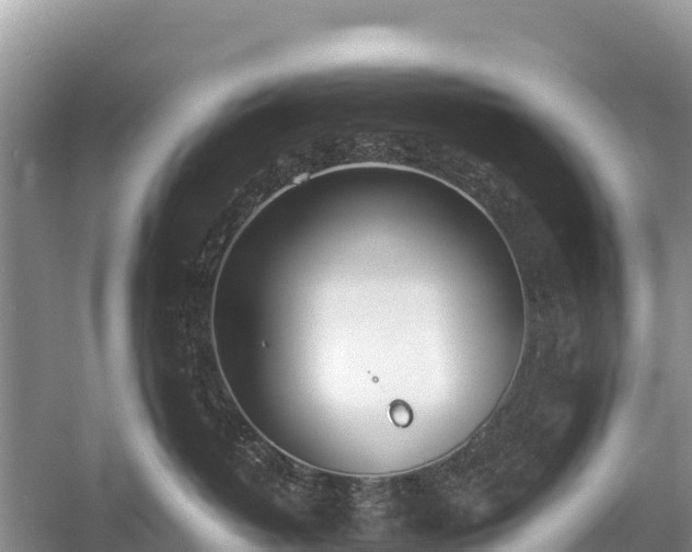 X0000058800382200510071708