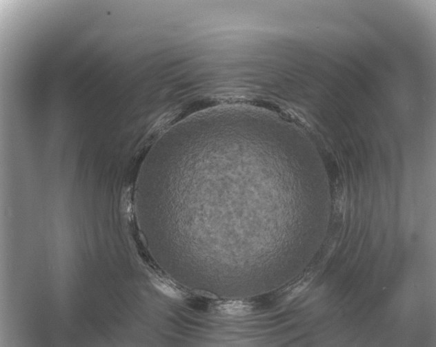 X0000058800383200510071708