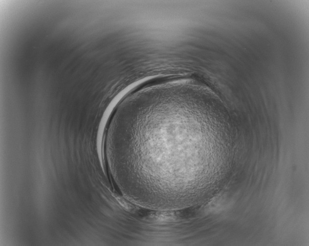 X0000058800384200510071708