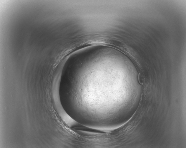 X0000058800385200510071707