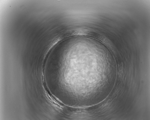 X0000058800386200510071707