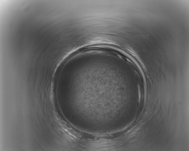 X0000058800387200510071707