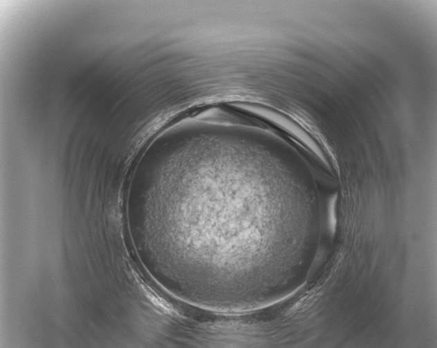 X0000058800389200510071707