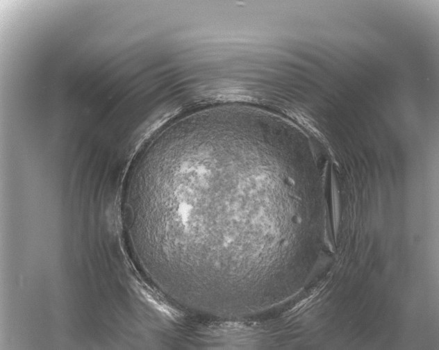 X0000058800390200510071707