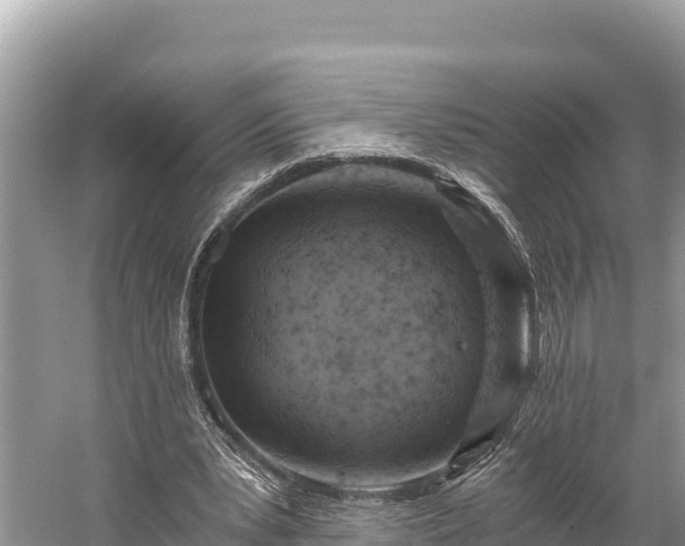 X0000058800391200510071707