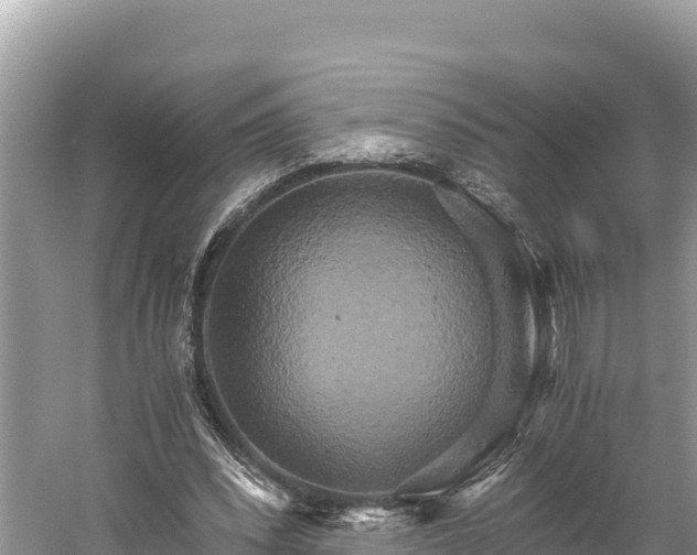 X0000058800392200510071707