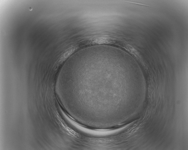 X0000058800393200510071707