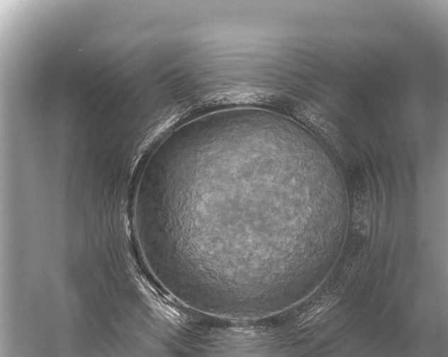 X0000058800394200510071707