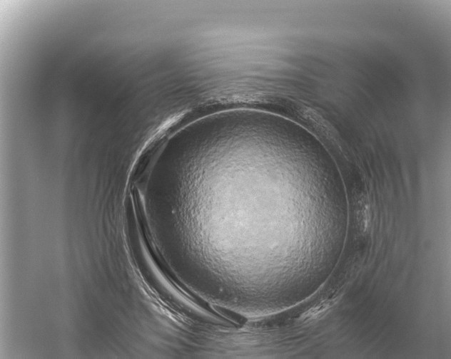 X0000058800395200510071707