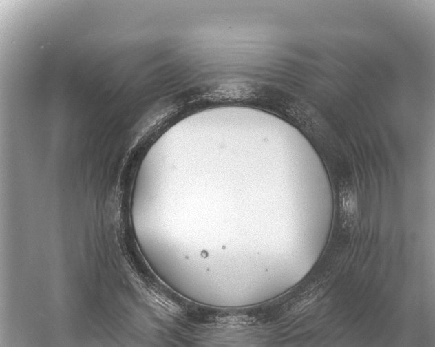 X0000058800396200510071707