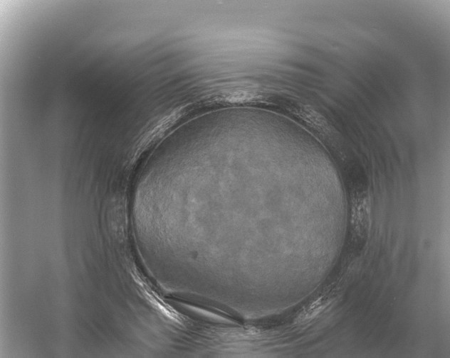 X0000058800397200510071707