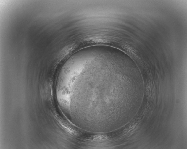 X0000058800398200510071707