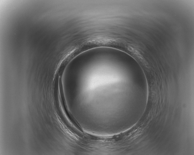 X0000058800399200510071707