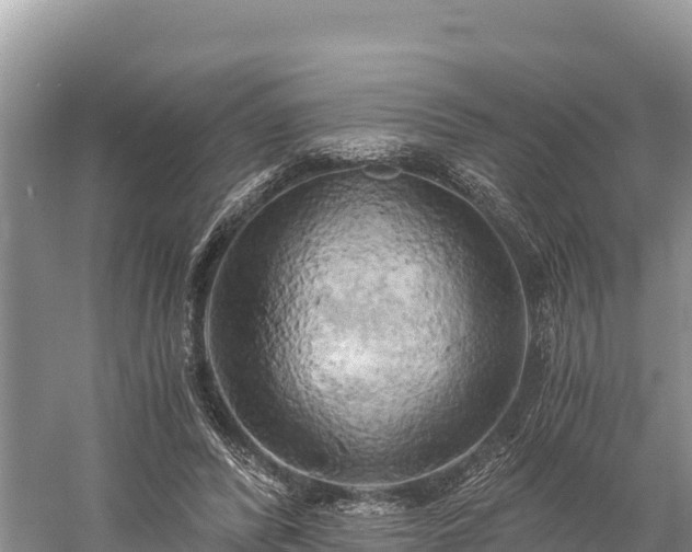 X0000058800400200510071707