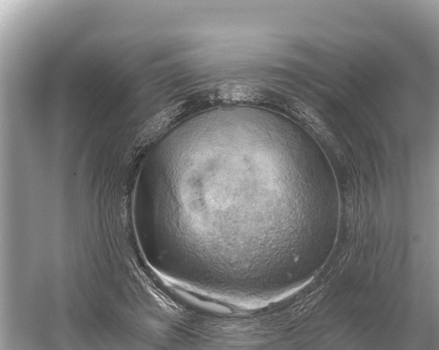 X0000058800401200510071707