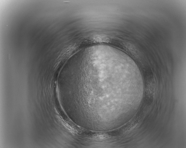 X0000058800402200510071707