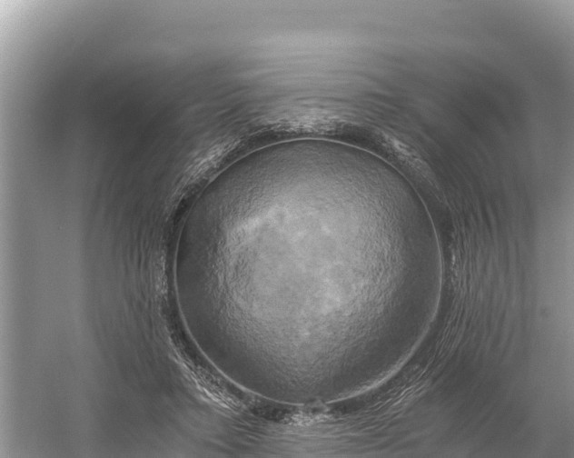 X0000058800403200510071707