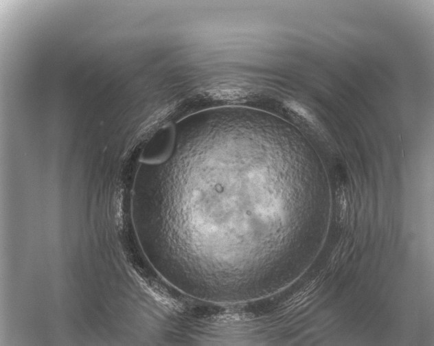 X0000058800404200510071707