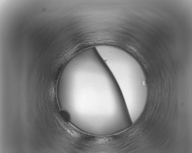 X0000058800405200510071707