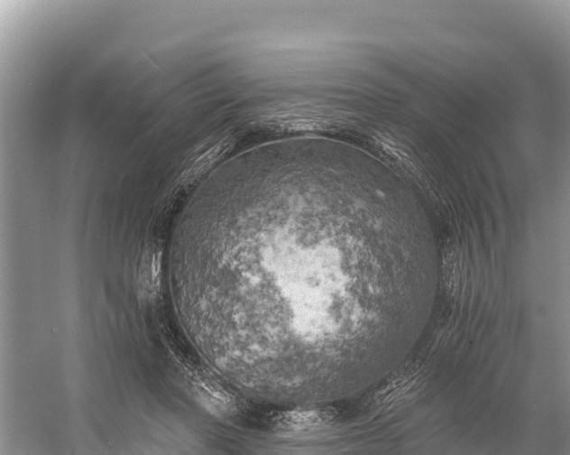 X0000058800406200510071707