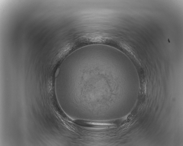 X0000058800407200510071707