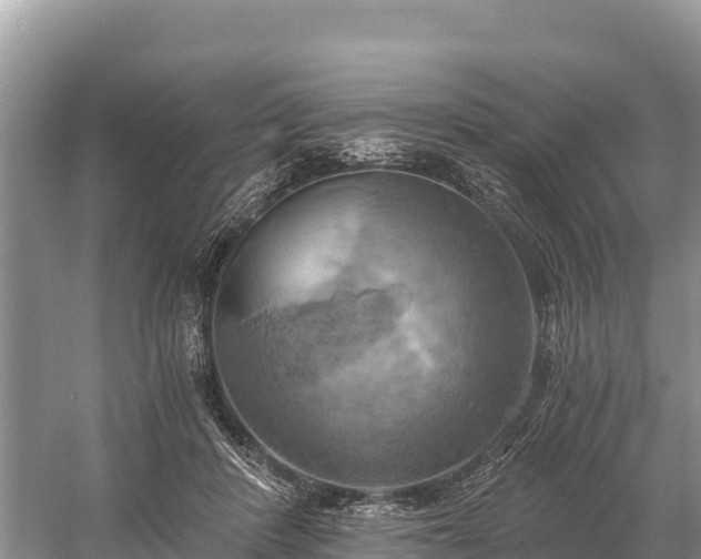 X0000058800408200510071707