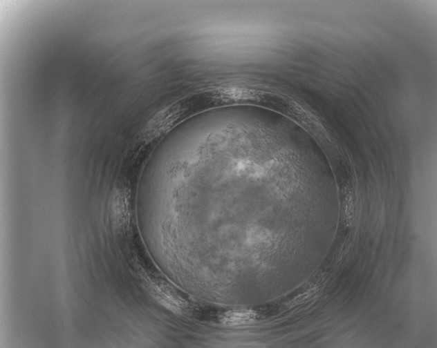 X0000058800410200510071707