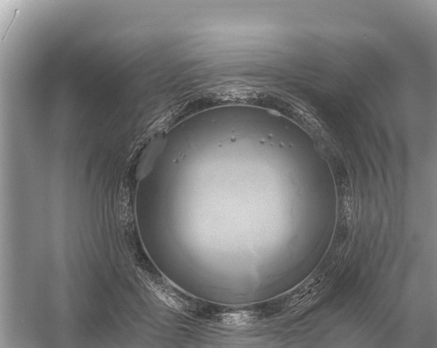 X0000058800411200510071707