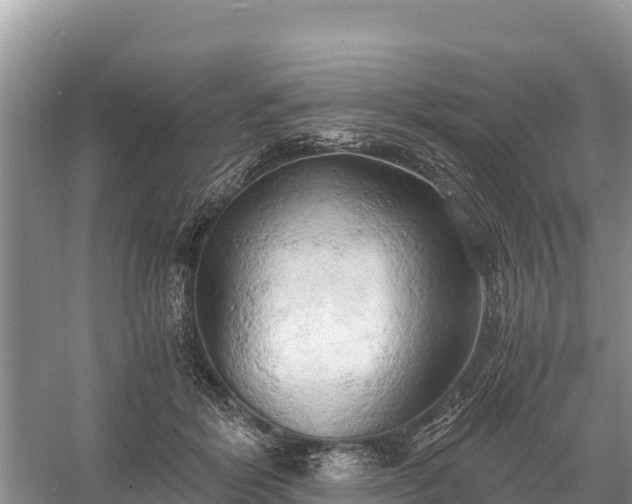 X0000058800412200510071707