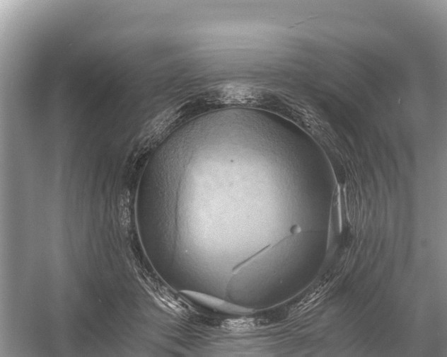 X0000058800413200510071707