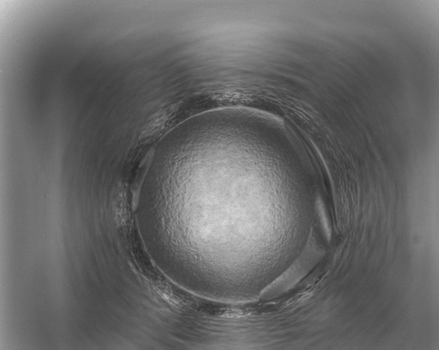 X0000058800416200510071707