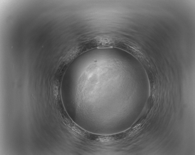 X0000058800417200510071707