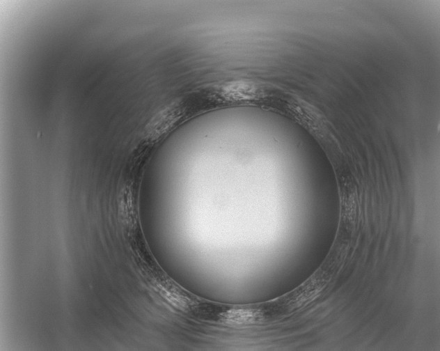 X0000058800418200510071707