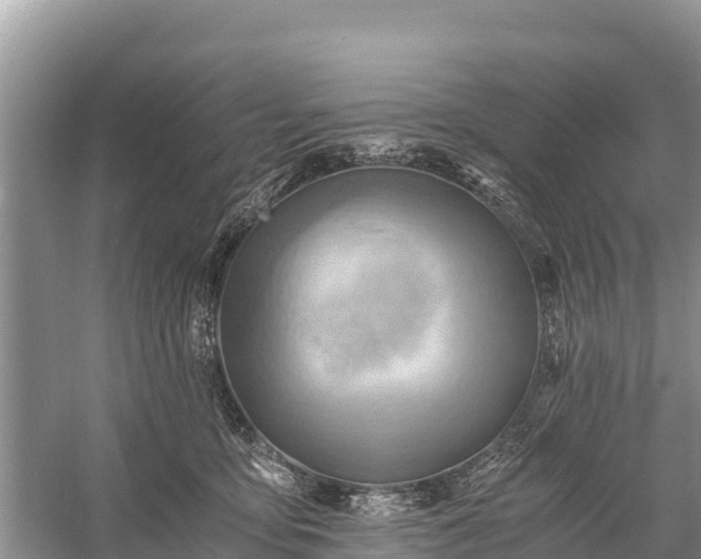 X0000058800419200510071707