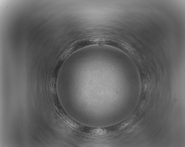 X0000058800421200510071707